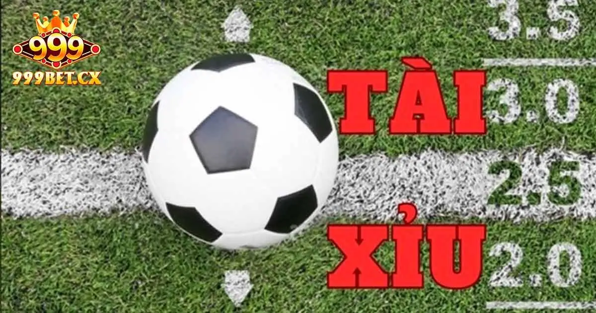 Giới thiệu về chuyên mục cá cược tài xỉu 999bet